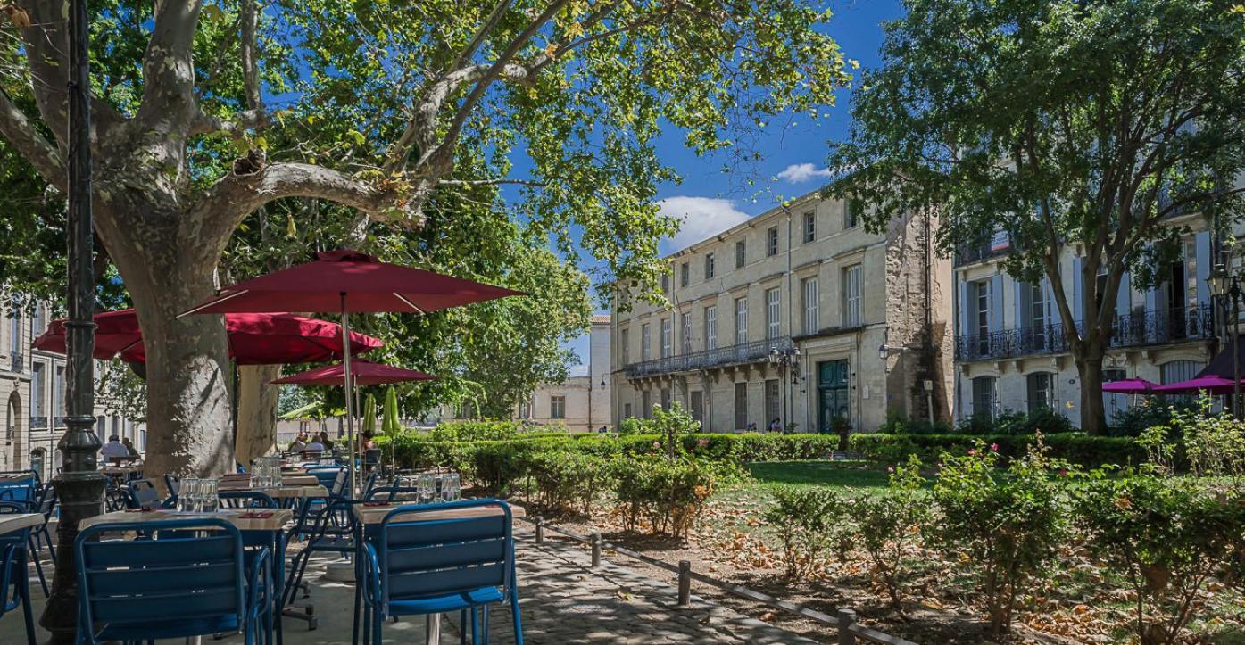 Terrasse De La Canourgue - Premiere Conciergerie Montpellier Dış mekan fotoğraf